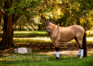 Equine Fine Art front